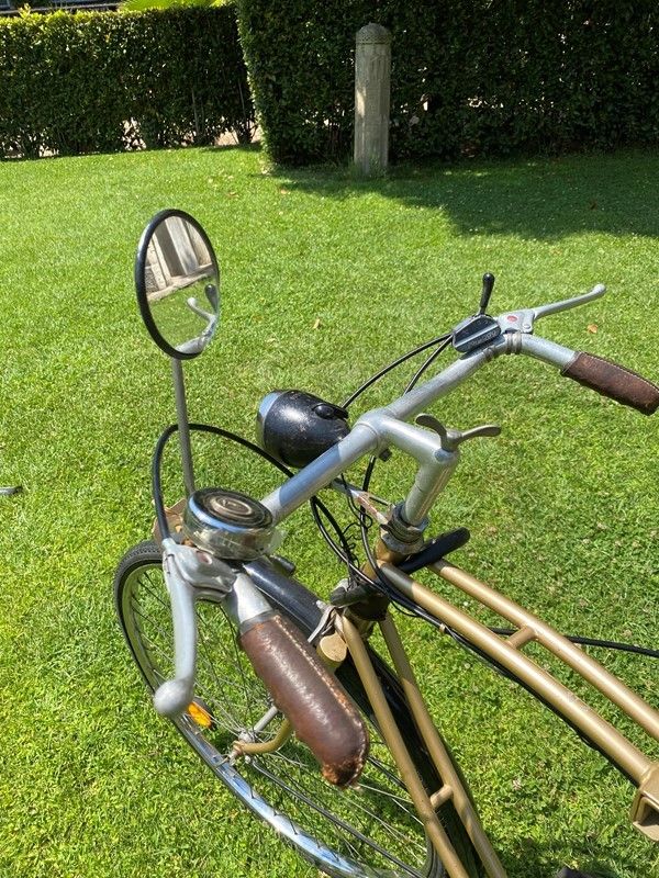 Bicicletta Trussardi