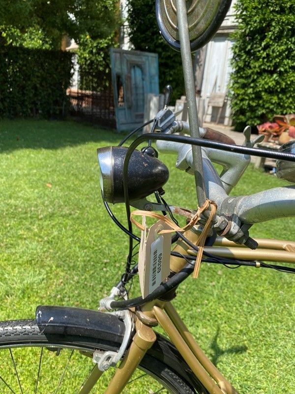 Bicicletta Trussardi