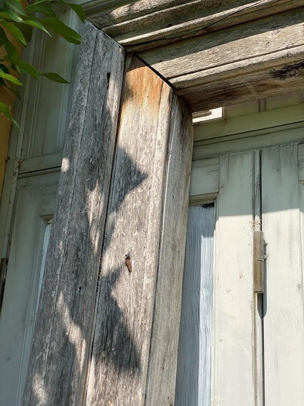 Imbotte
