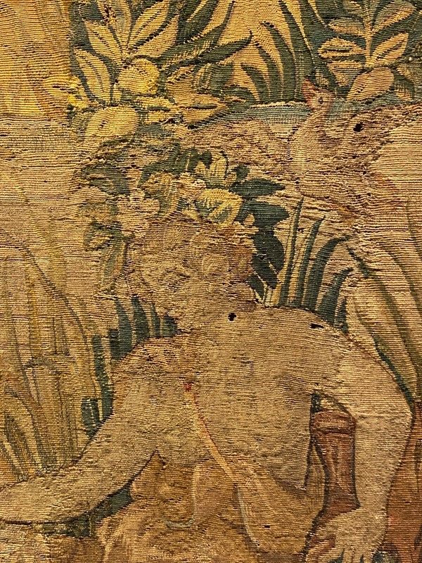 Scuola Fiamminga, XVI Sec. - Flora