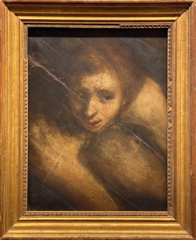 Scuola Italia Centrale, XVII Sec. - Volto di Giovane