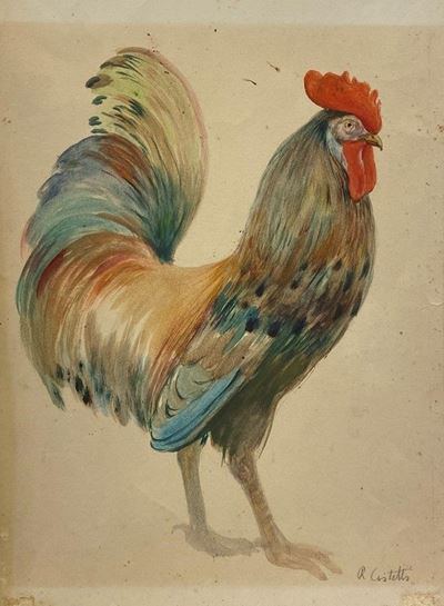 Gallo