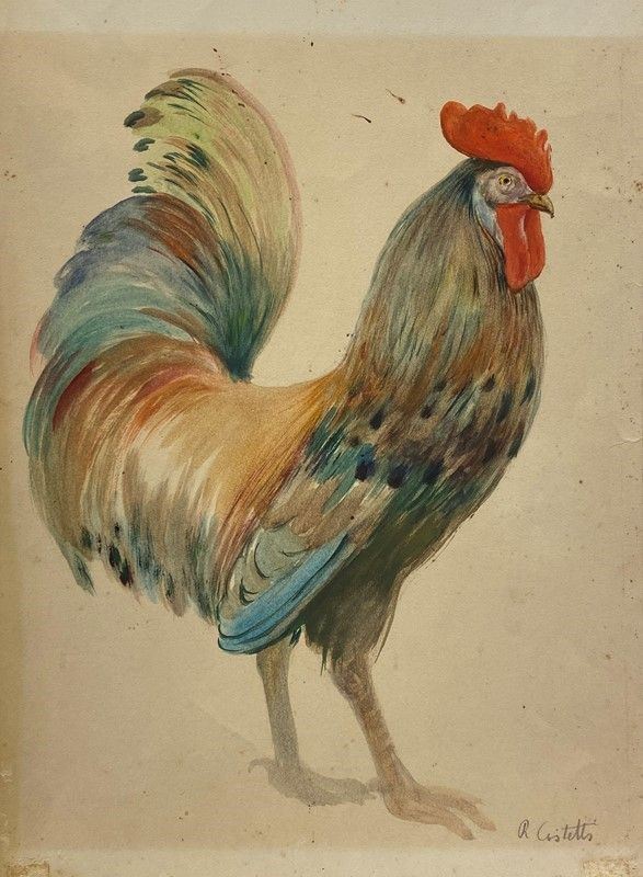 Romeo Costetti - Gallo