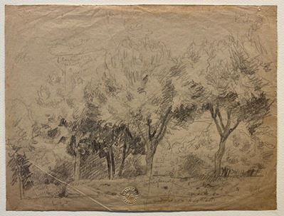 Campagna con Alberi