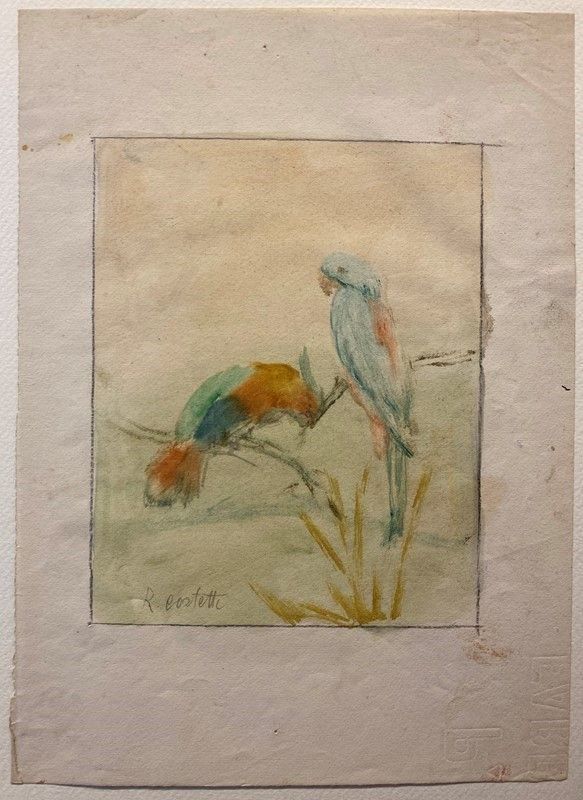 Romeo Costetti - Studio di pappagalli