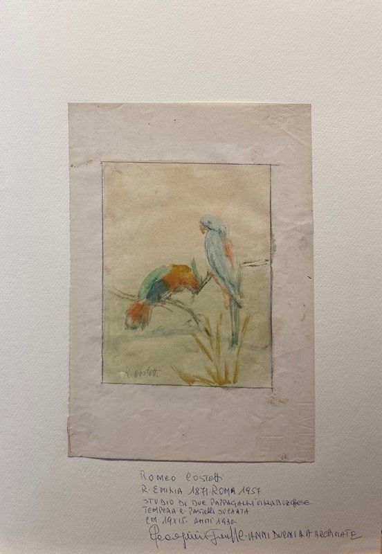 Romeo Costetti - Studio di Pappagalli