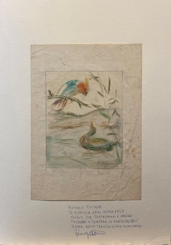 Romeo Costetti - Studio di Pappagallo e Anatra