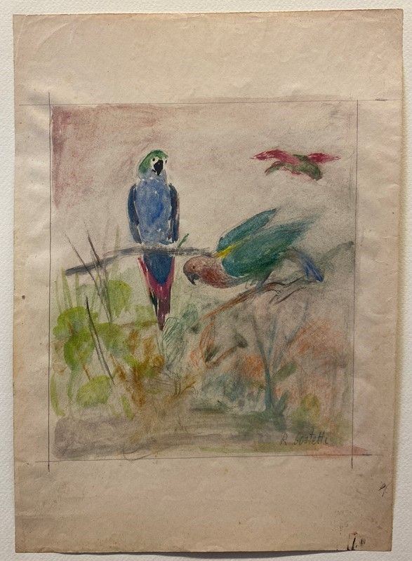 Romeo Costetti - Studio di pappagalli 