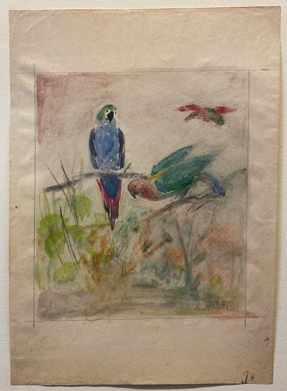 Romeo Costetti - Studio di Pappagalli