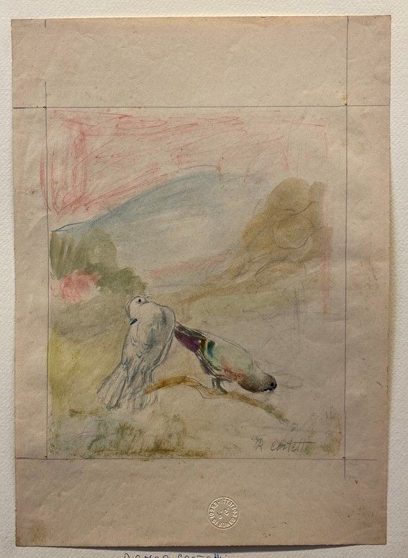 Romeo Costetti - Studio di piccioni