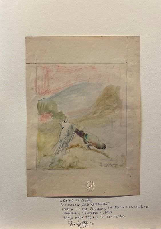 Romeo Costetti - Studio di Piccioni