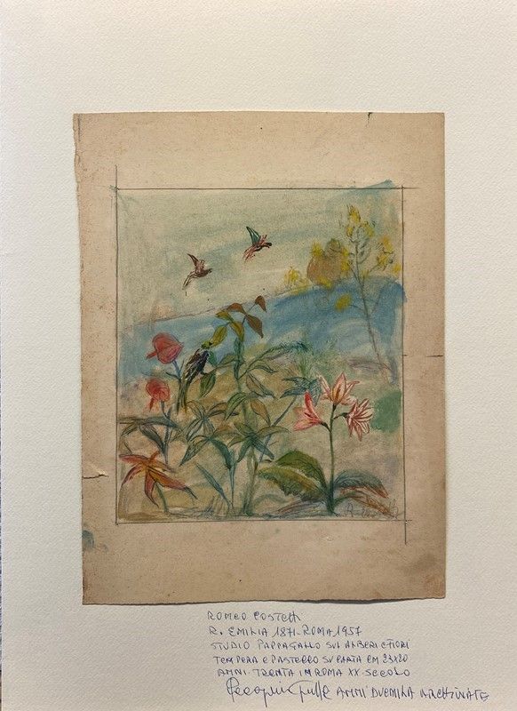 Romeo Costetti - Studio di Fiori e Pappagalli