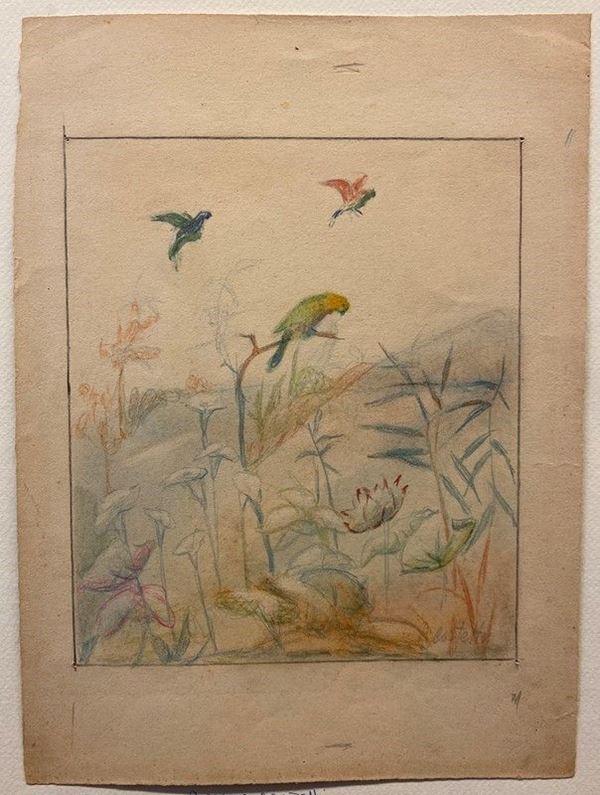 Romeo Costetti - Studio di fiori e pappagalli