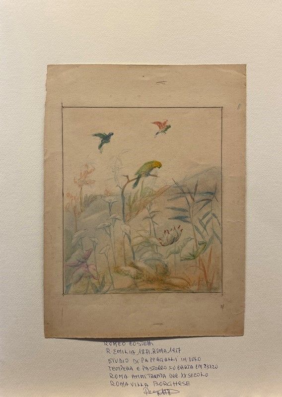 Romeo Costetti - Studio di Fiori e Pappagalli