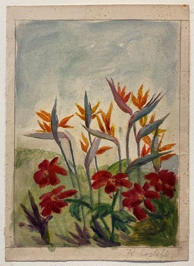 Studio di Fiori