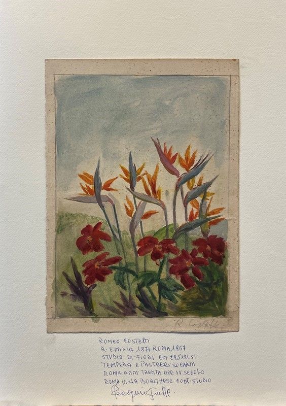 Romeo Costetti - Studio di Fiori