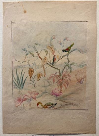 Studio di Vegetazione, Pappagalli e Anatra