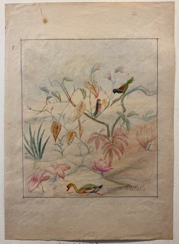 Romeo Costetti - Studio di vegetazione, pappagalli e anatra