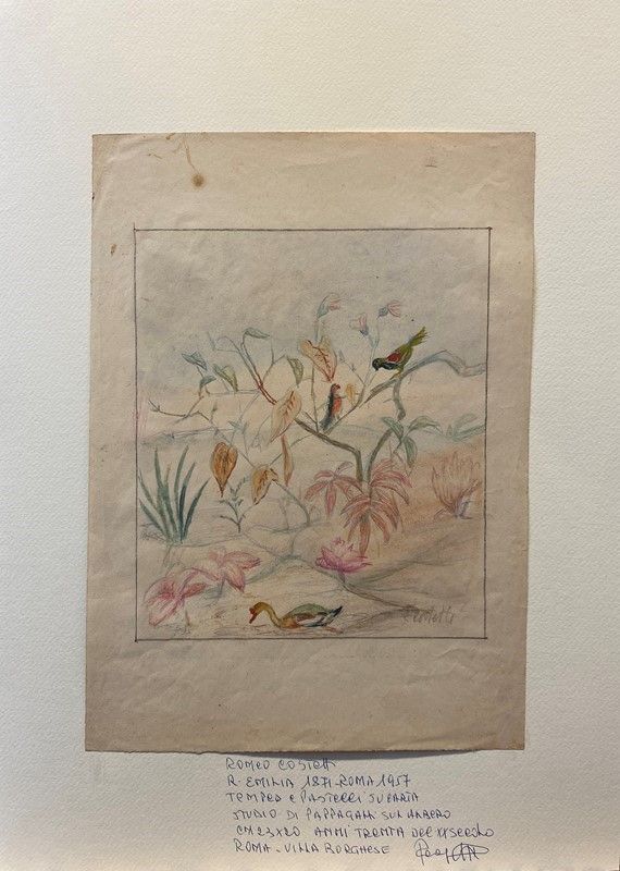 Romeo Costetti - Studio di Vegetazione, Pappagalli e Anatra