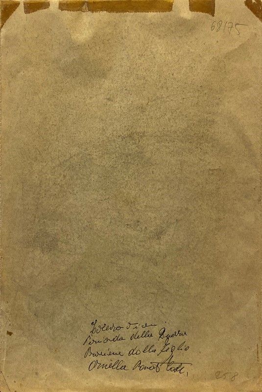 Lorenzo Viani - Profilo di Soldato
