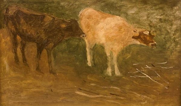 Anonimo, XX sec. - Cows