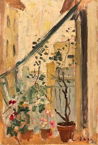 Balcone con Vasi di Fiori