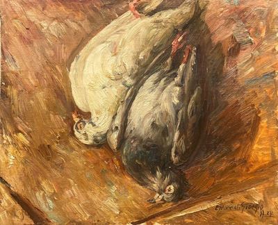 Piccioni