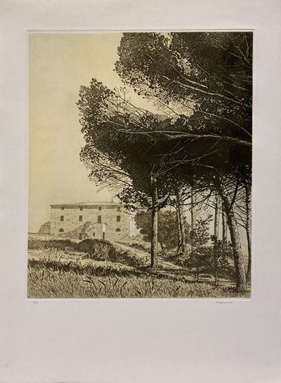 Senza Titolo
