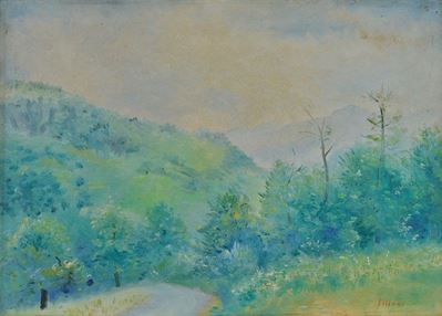 Paesaggio a Bosco di Corniglio