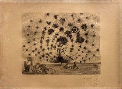 Argus
