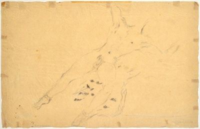 Studio di Nudo