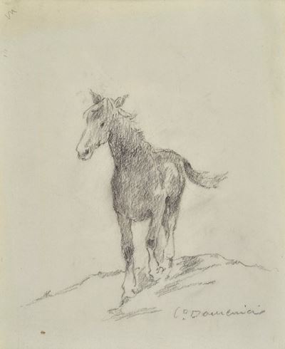 Cavallo