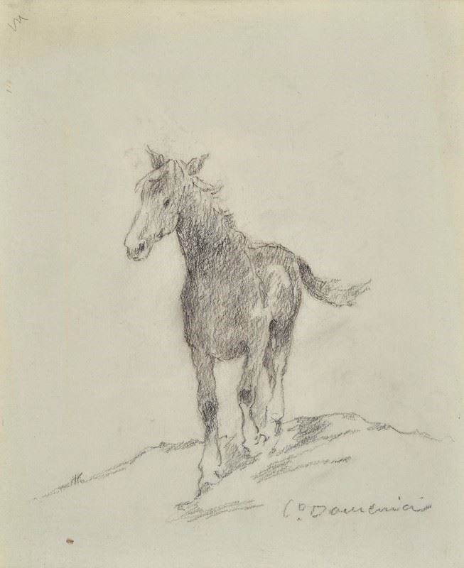 Carlo Domenici - Cavallo