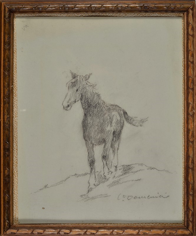 Carlo Domenici - Cavallo