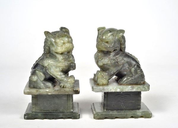 Cani di Pho
