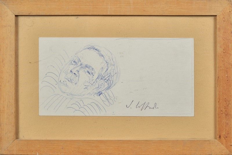 Silvio Loffredo - Volto