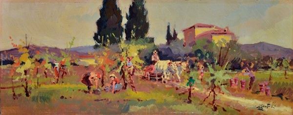 Loris Centelli - Vendemmia in Pomino