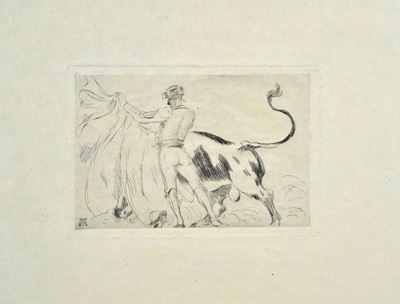 Torero