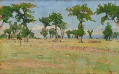 Paesaggio Campestre