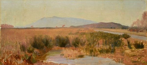 Eugenio Cecconi - Nel padule di Burano 