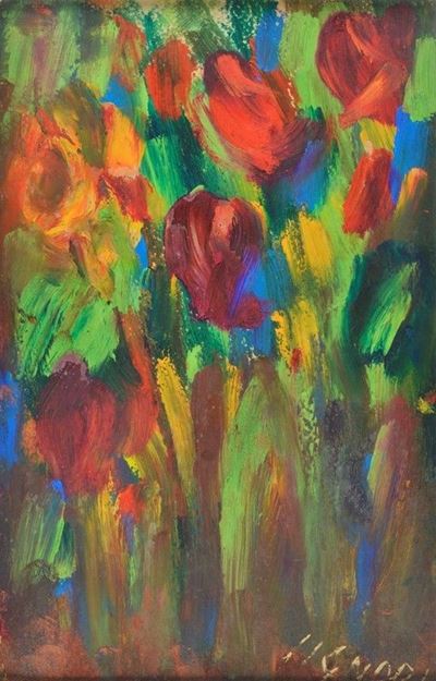 Tulipani