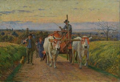 Ritorno dai Campi