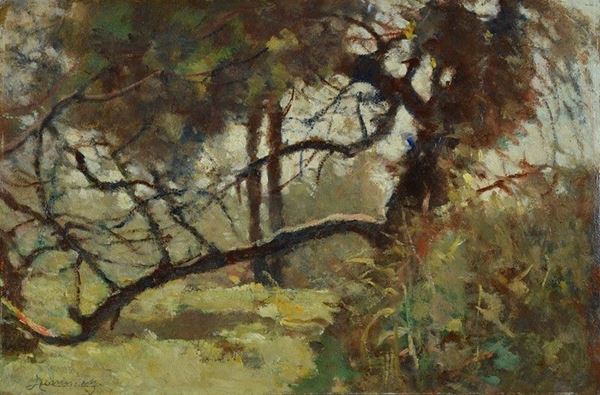 Ludovico Tommasi - Sottobosco