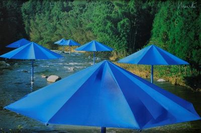 Manifesto Dell’installazione “the Umbrellas Japan”