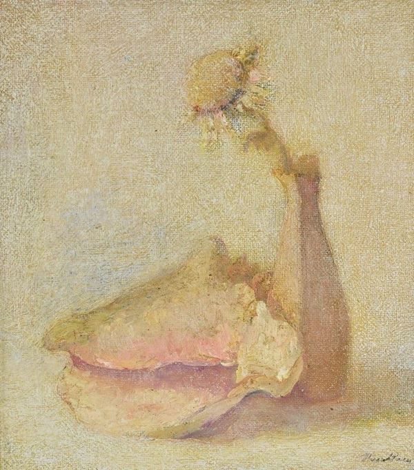 Norma Mascellani - Natura morta con conchiglia e fiore