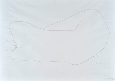 Nudo Disteso