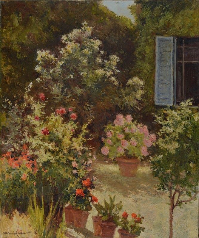 Alberto Cecconi - Angolo del Mio Giardino