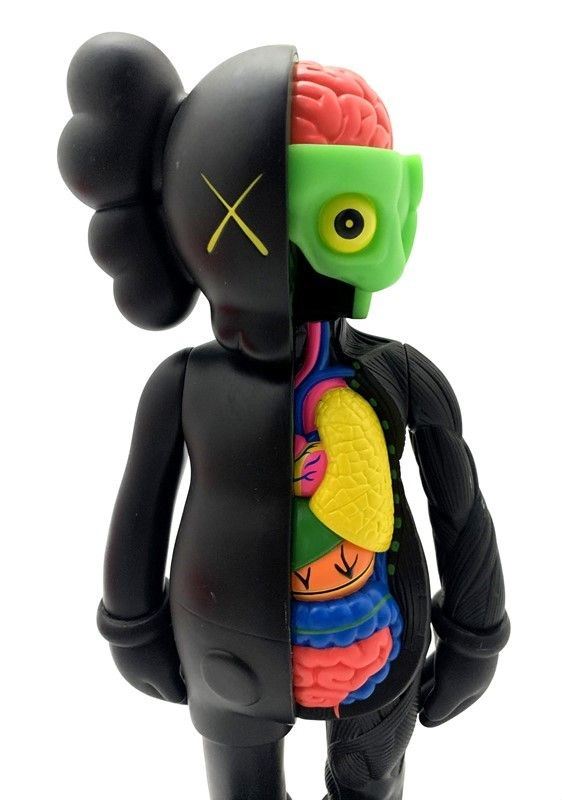 Kaws store dissected figure