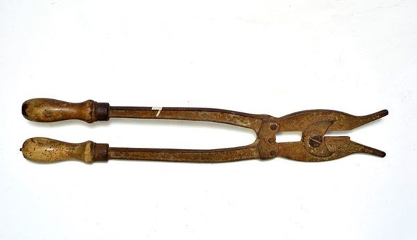Pinza tagliafili