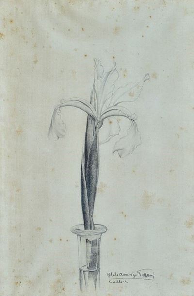 Fiore